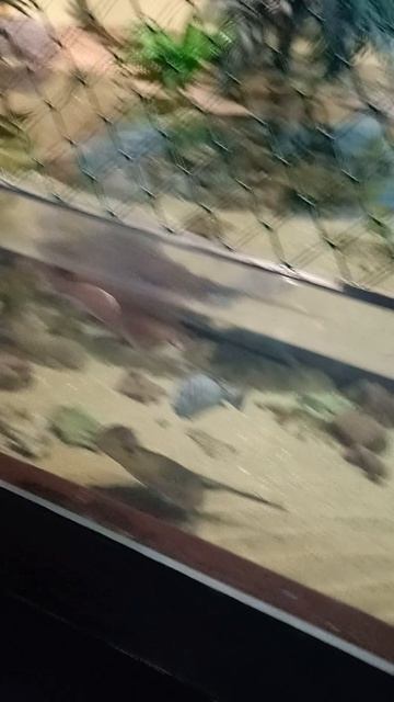 1000001399.mp4