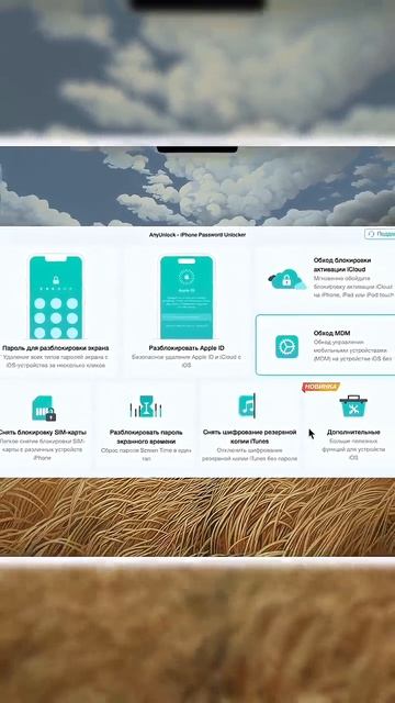 iPhone просит Apple ID владельца? Вот что делать Apple iCloud Shorts