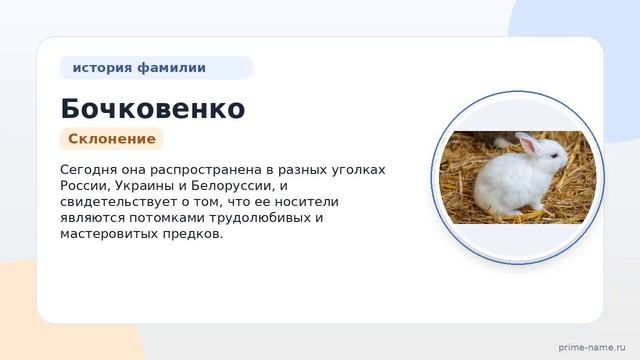Фамилия Бочковенко: происхождение значение и склонение