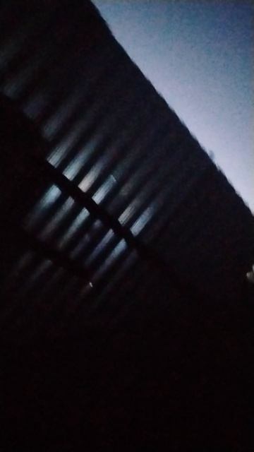 осмотр моего огорода