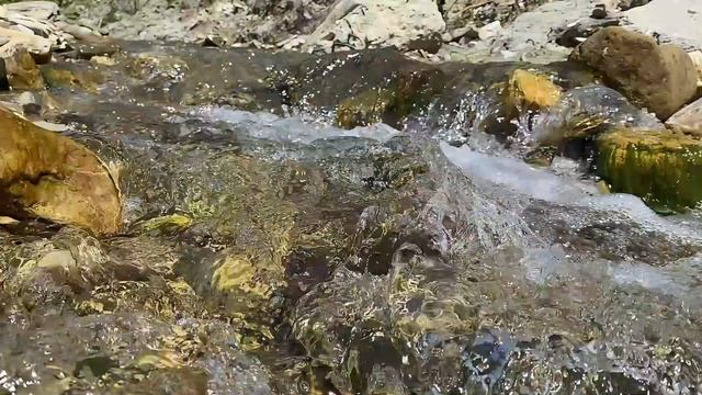 Успокаивающий шум горной реки Адерба. Геленджик