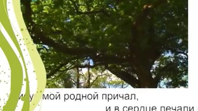 Здравствуй Суббота!