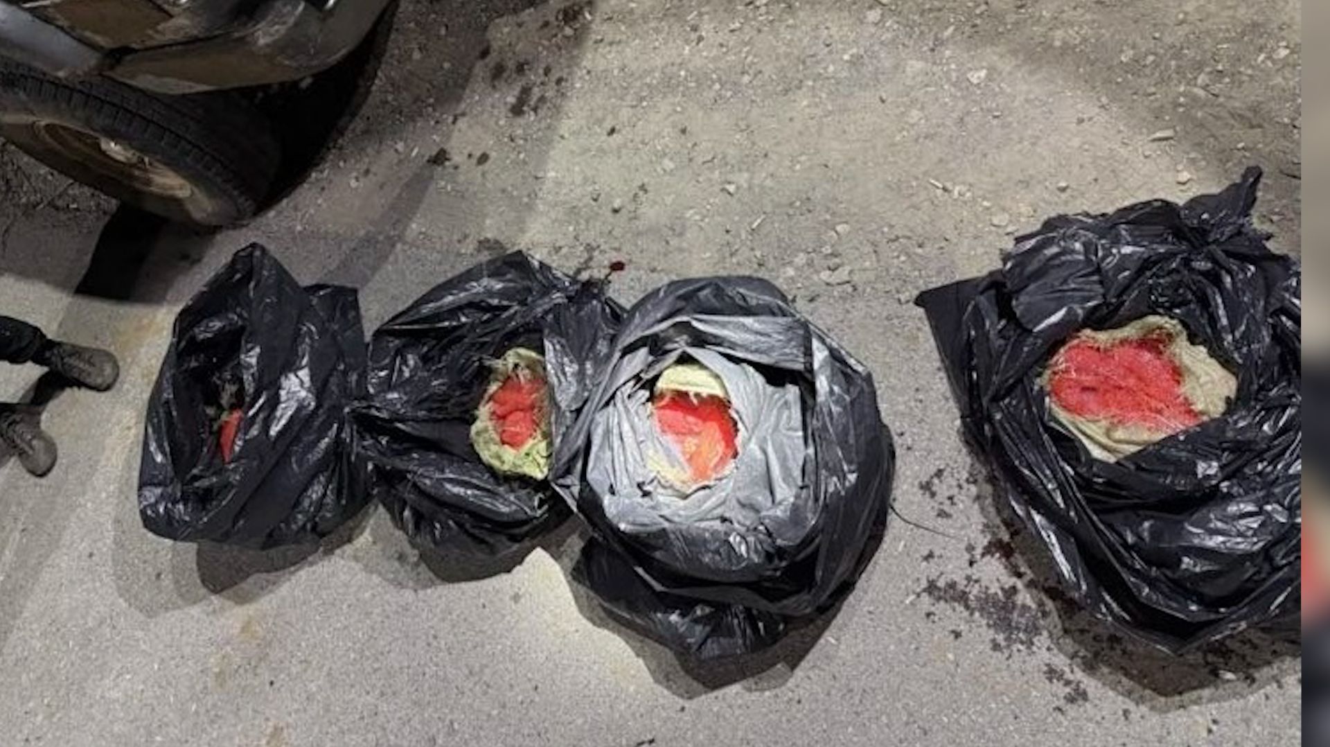 БРАКОНЬЕРСКИЙ ГРУЗ