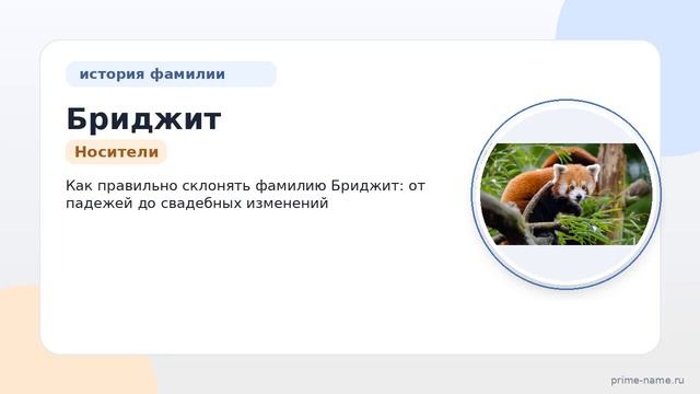 Узнайте всё о фамилии Бриджит: история значения и правильное склонение