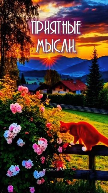 добрыйвечер