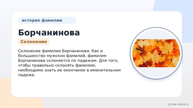 Фамилия Борчанинова: происхождение значение и склонение