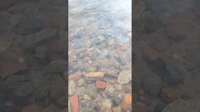 ВСЕ МЫ РАЗНЫЕ ЛЮДИ