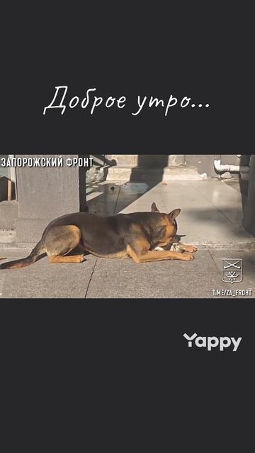 юмор мемы приколы ржака