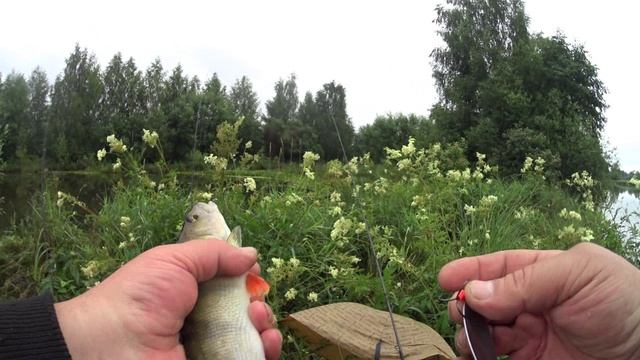 Спиннинг.Хорошие блёсна ловят всегда.Щукаокуникрасота