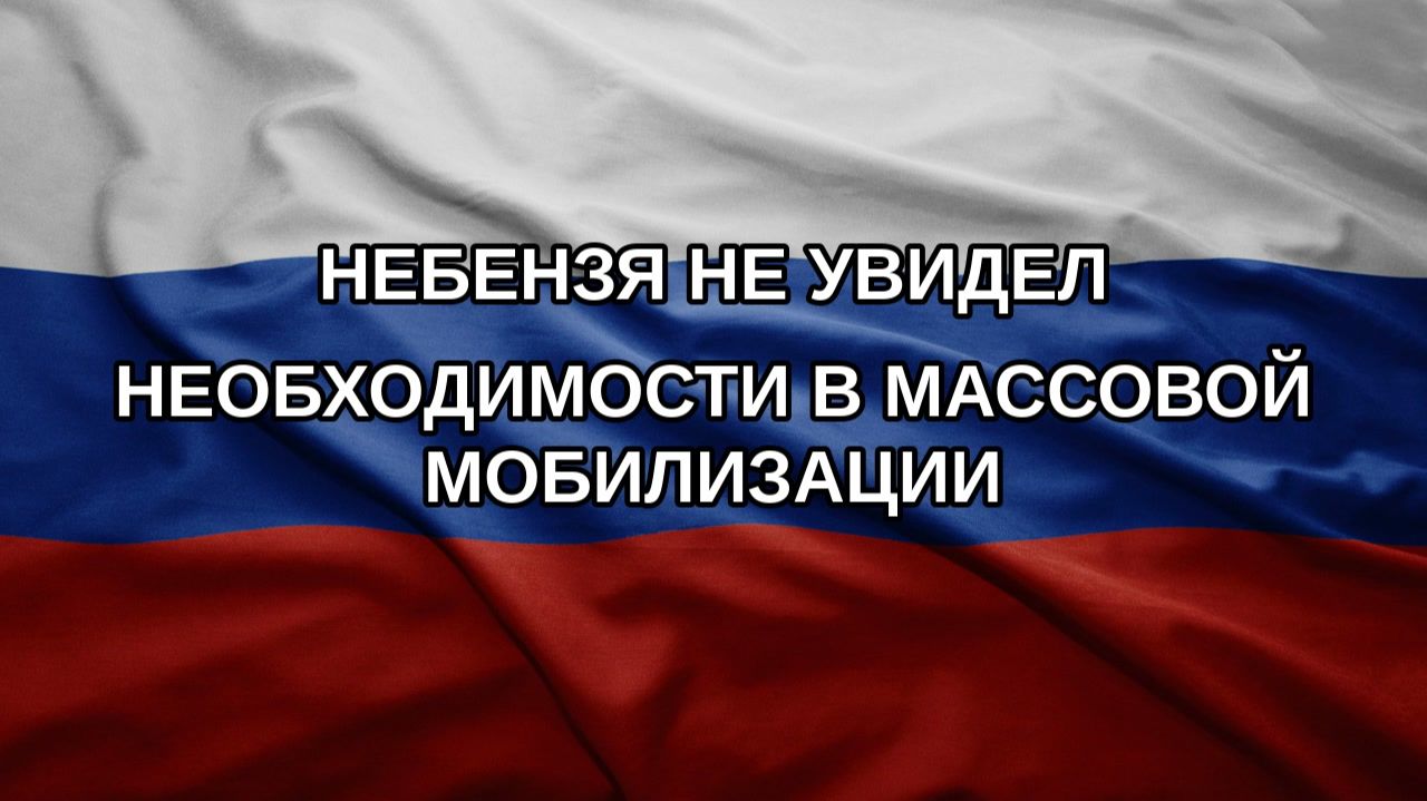 Небензя не увидел необходимости в массовой мобилизации