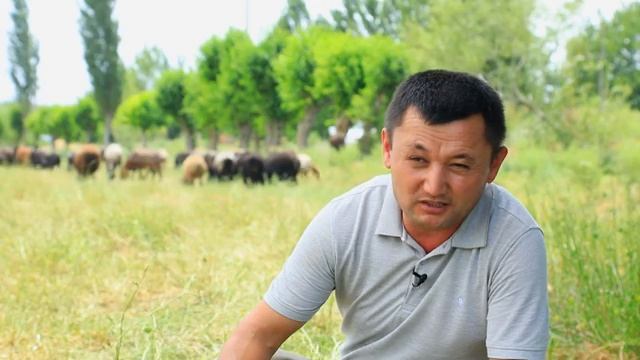 ОЛИЙ МАЪЛУМОТЛИ ЧЎПОН с канала Golden Uzbekistan