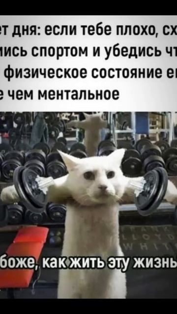 Юмор