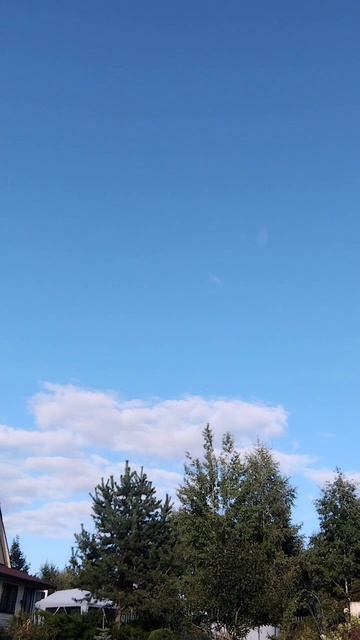 Проверяй