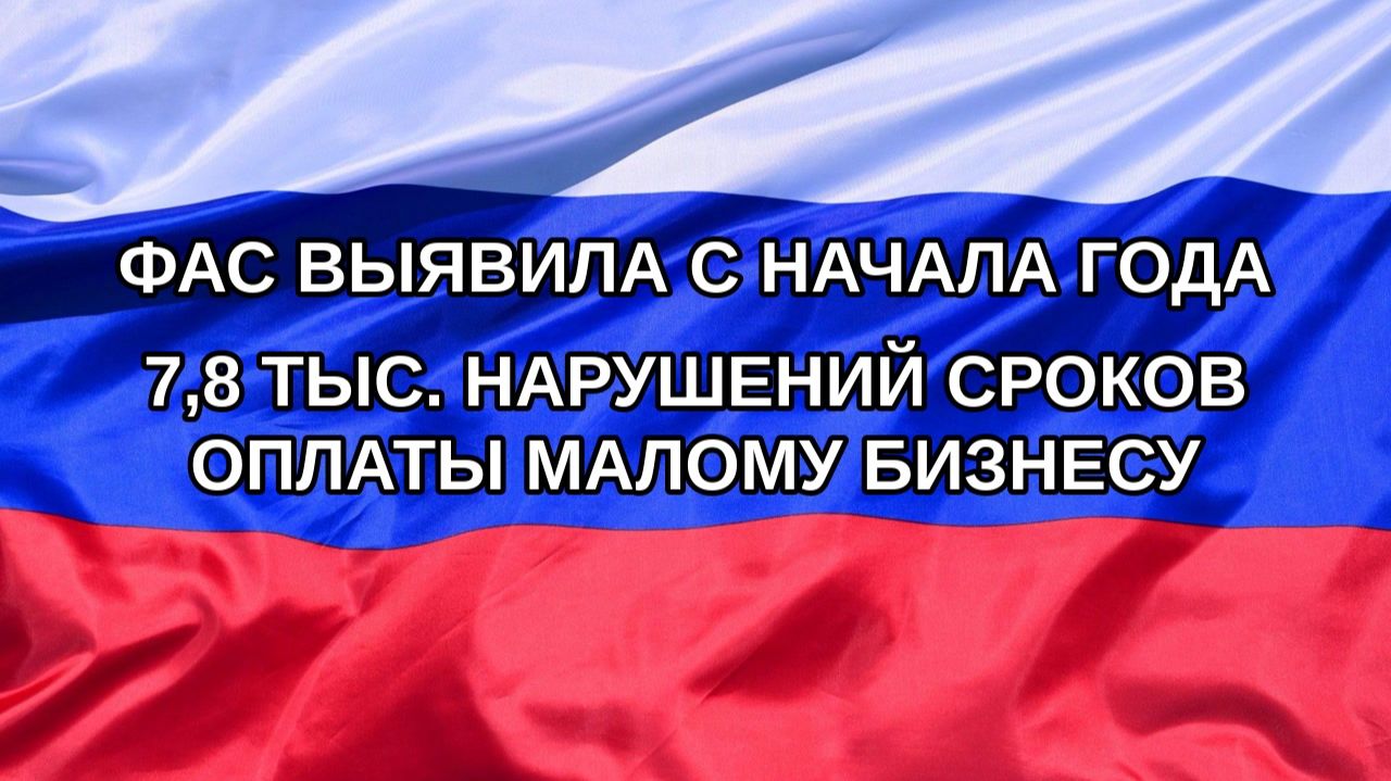 Н. РФ ФАС выявила с начала года 78 тыс. нарушений сроков оплаты малому бизнесу