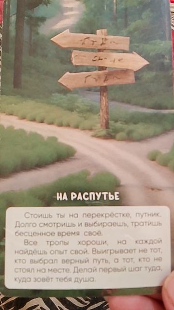 волшебный лес