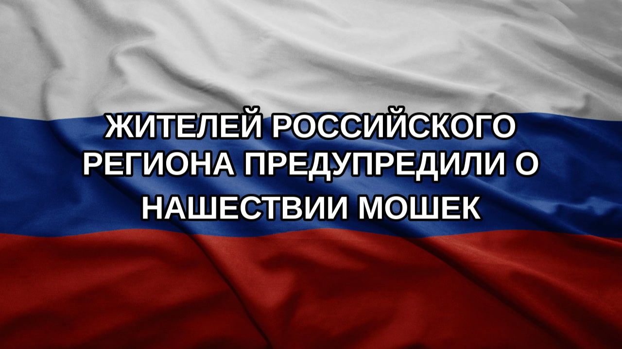 Жителей российского региона предупредили о нашествии мошек
