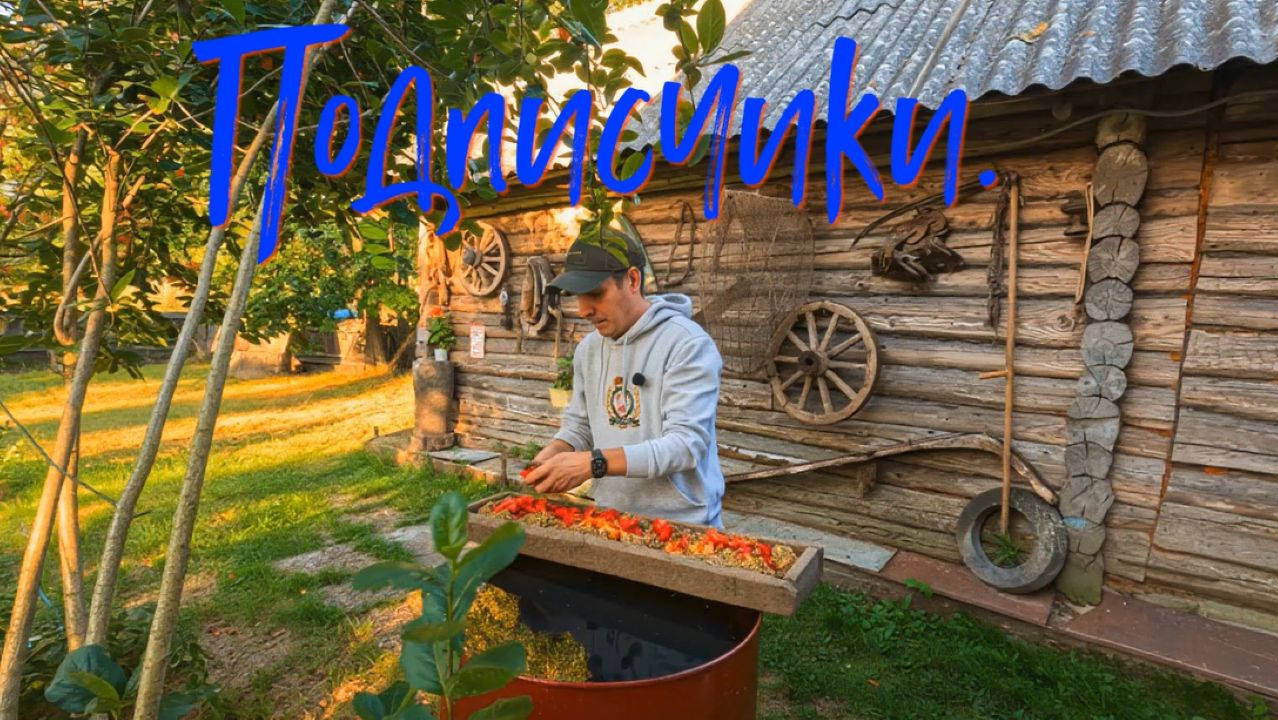 Подписчики.