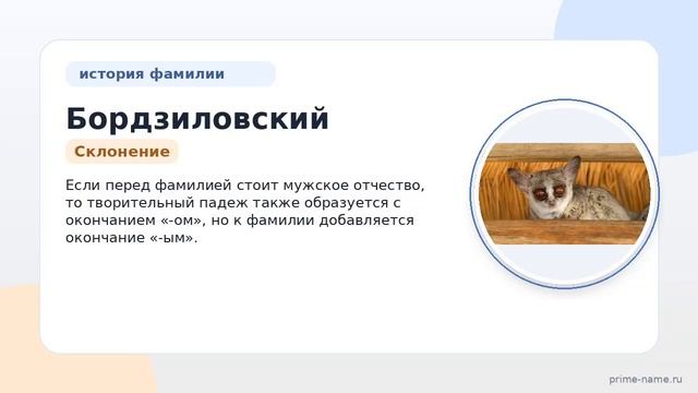 Фамилия Бордзиловский: происхождение значение и склонение