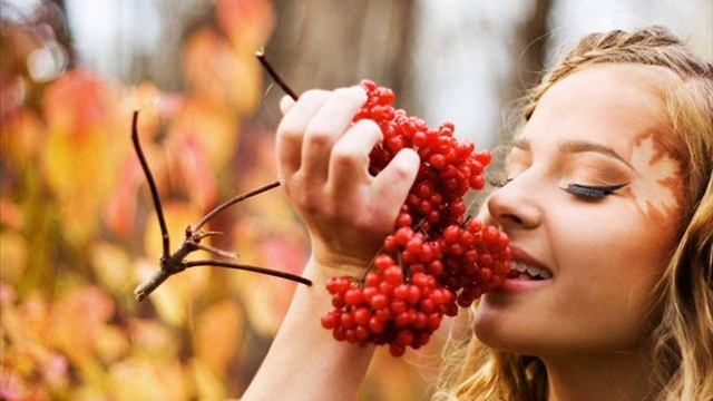 ВИА Лаутары Скажи мне, рябина