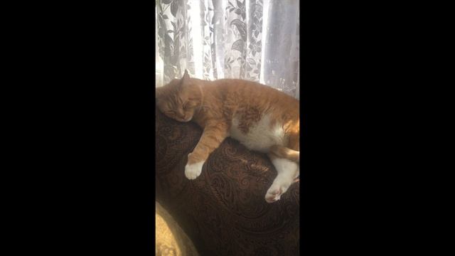 «Не торопись, а то успеешь