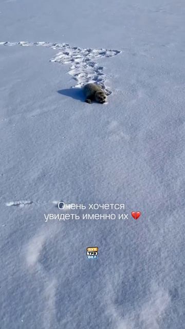 Байкал который невозможно забыть