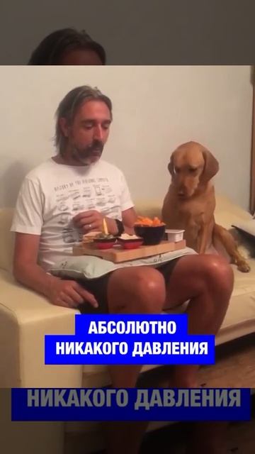 не оторвать глаз от такой красоты