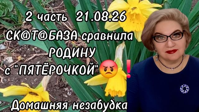2 часть. СКТБАЗА сравнила РОДИНУ с ПЯТЁРОЧКОЙ 