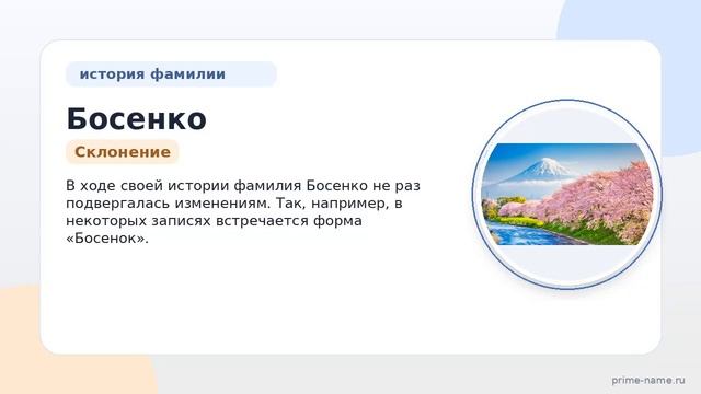 Фамилия Босенко: происхождение значение и склонение