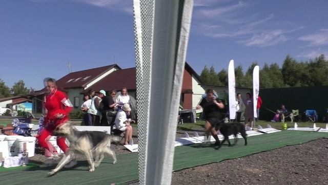 Класс открытый 1-я группа