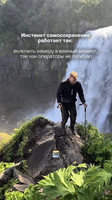 Упс 