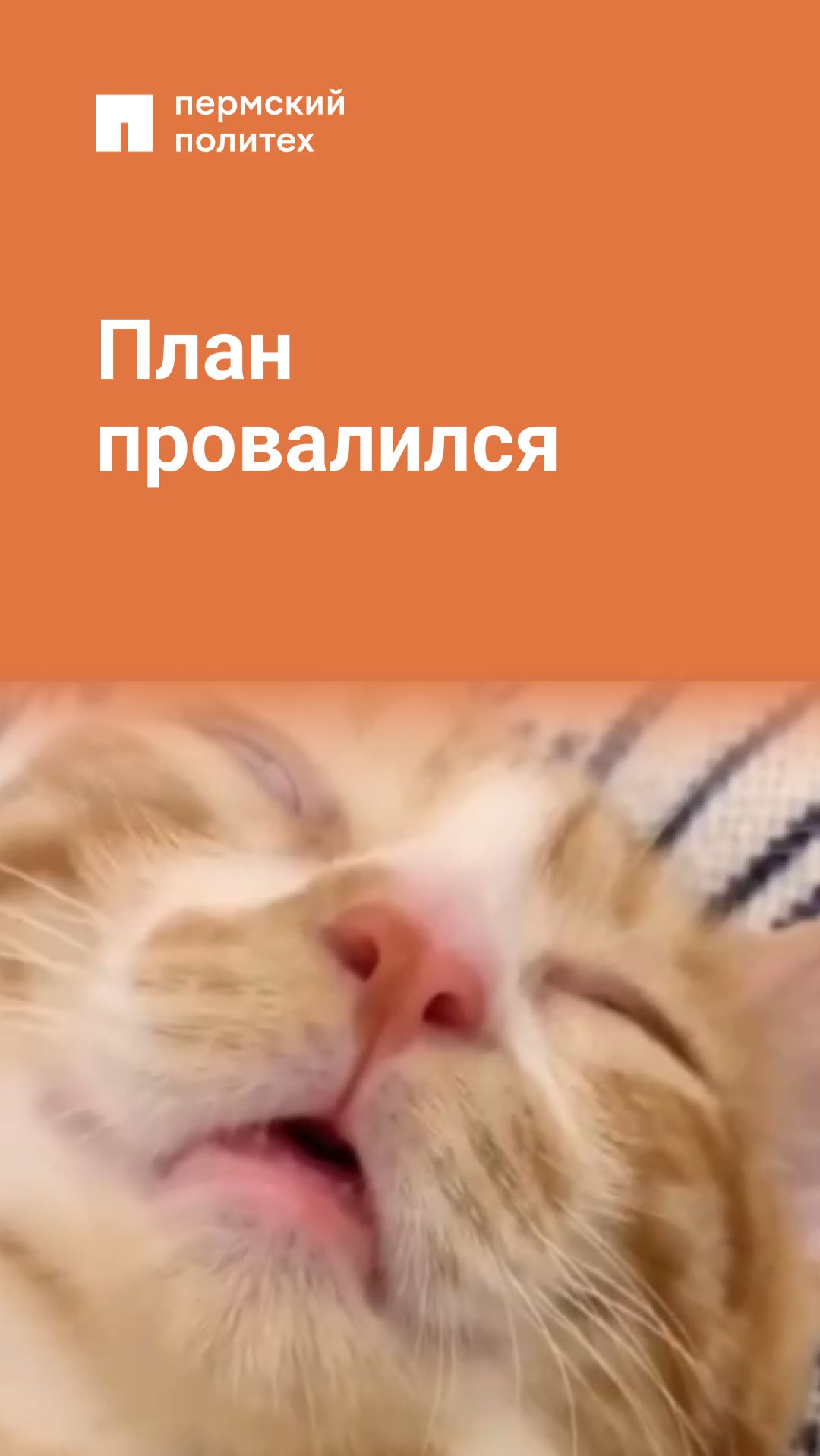 План провалился
