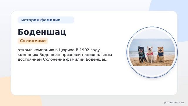 Фамилия Боденшац: происхождение значение и склонение