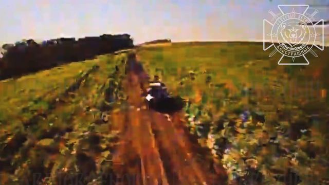 Две американские ББМ сожжены Северянами в Харьковской области