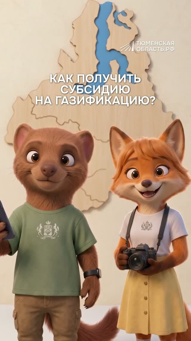 Как получить субсидию на газификацию?