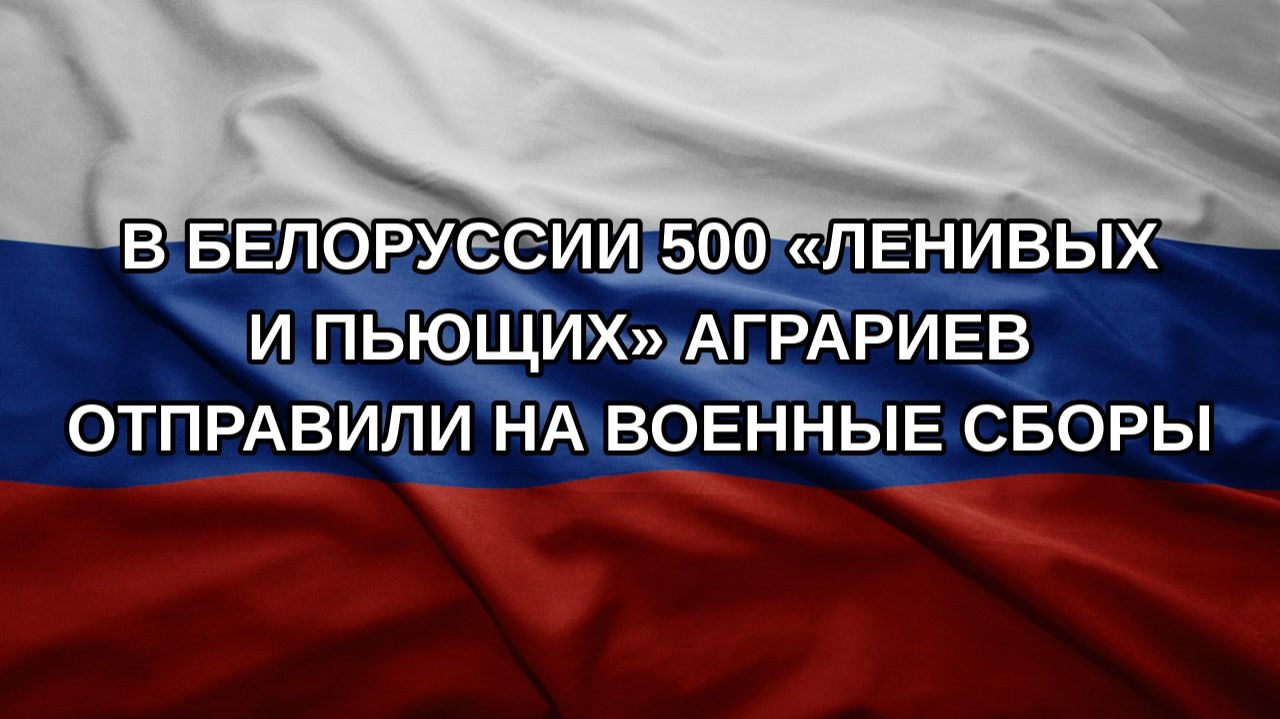 В Белоруссии 500 ленивых и пьющих аграриев отправили на военные сборы