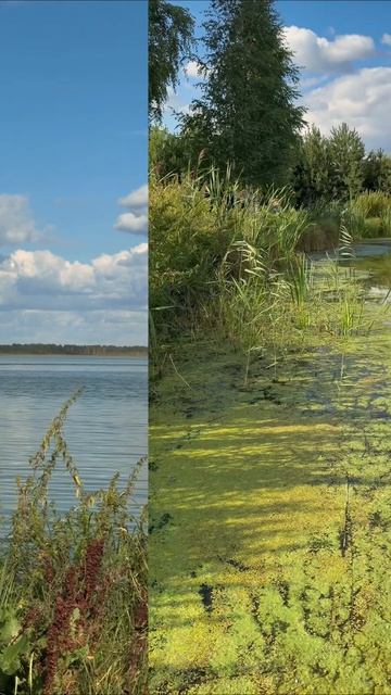 Выбирайте подарок мужу такой чтобы вместе кайфануть. 