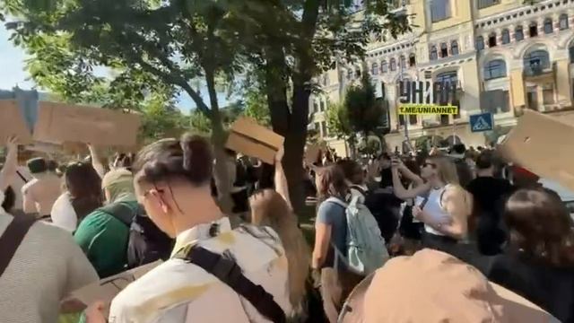 Митинг в Киеве