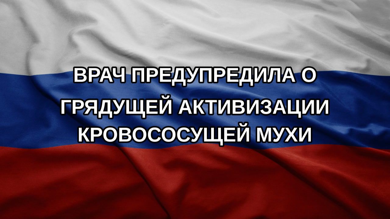 Врач предупредила о грядущей активизации кровососущей мухи