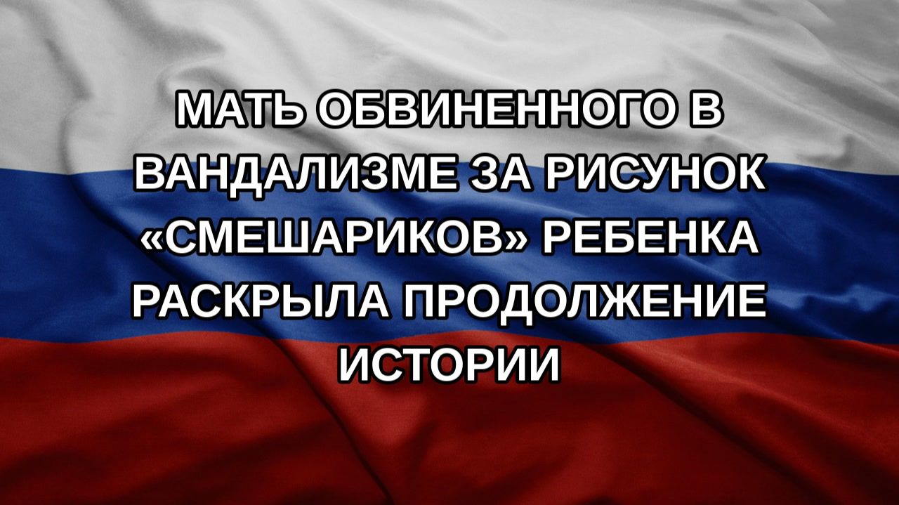 Мать обвиненного в вандализме за рисунок Смешариков ребенка раскрыла продолжение истории