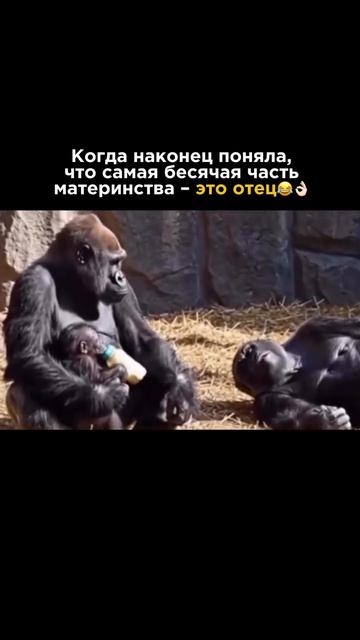 Я врач педиатр-неонатолог с 23-летним стажем работаю в роддоме и каждый день помогаю вам и вашим...