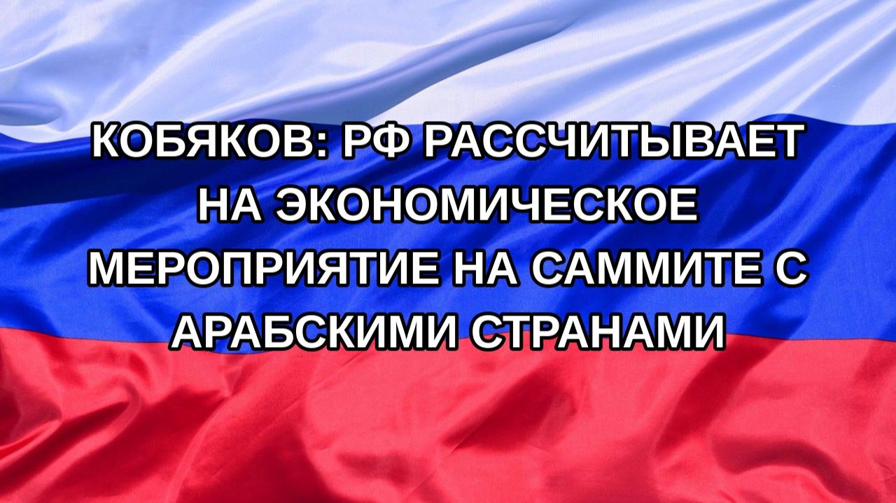 Н. РФ Кобяков: РФ рассчитывает на экономическое мероприятие на саммите с арабскими странами