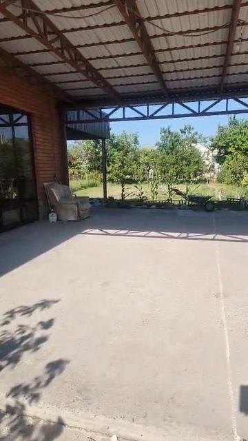 1000084215.mp4