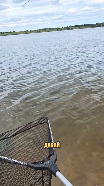 Рыбалка в Таболово