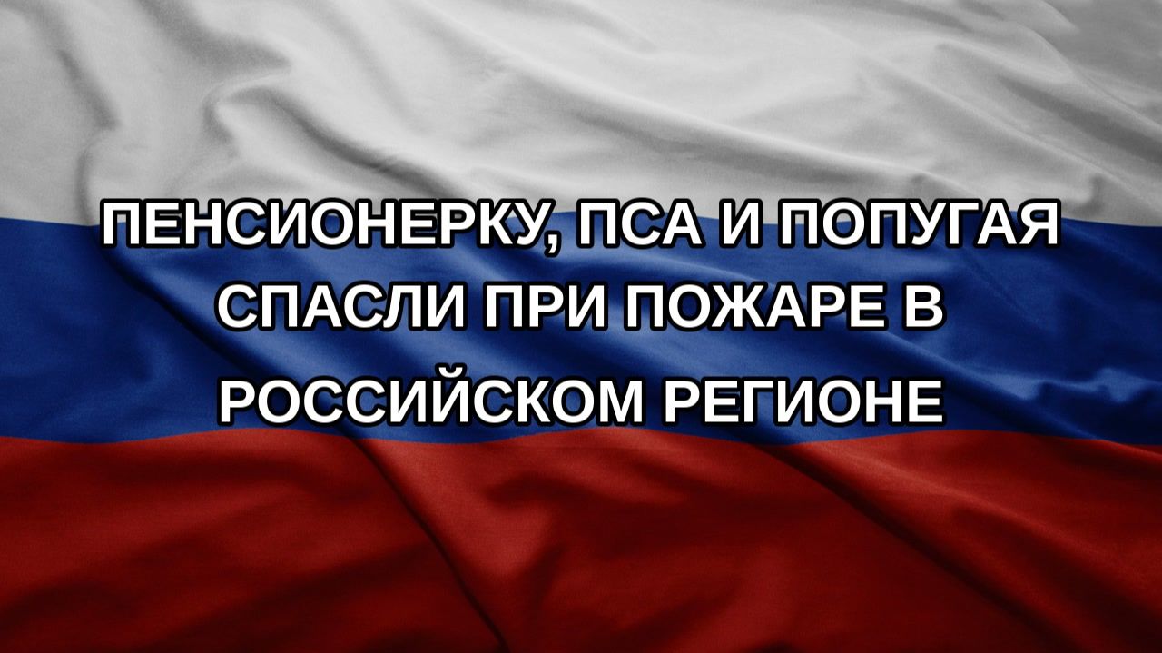 Пенсионерку пса и попугая спасли при пожаре в российском регионе