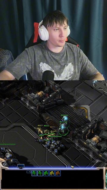 dccentr23 starcraft2 starcraft starcraftbroodwar