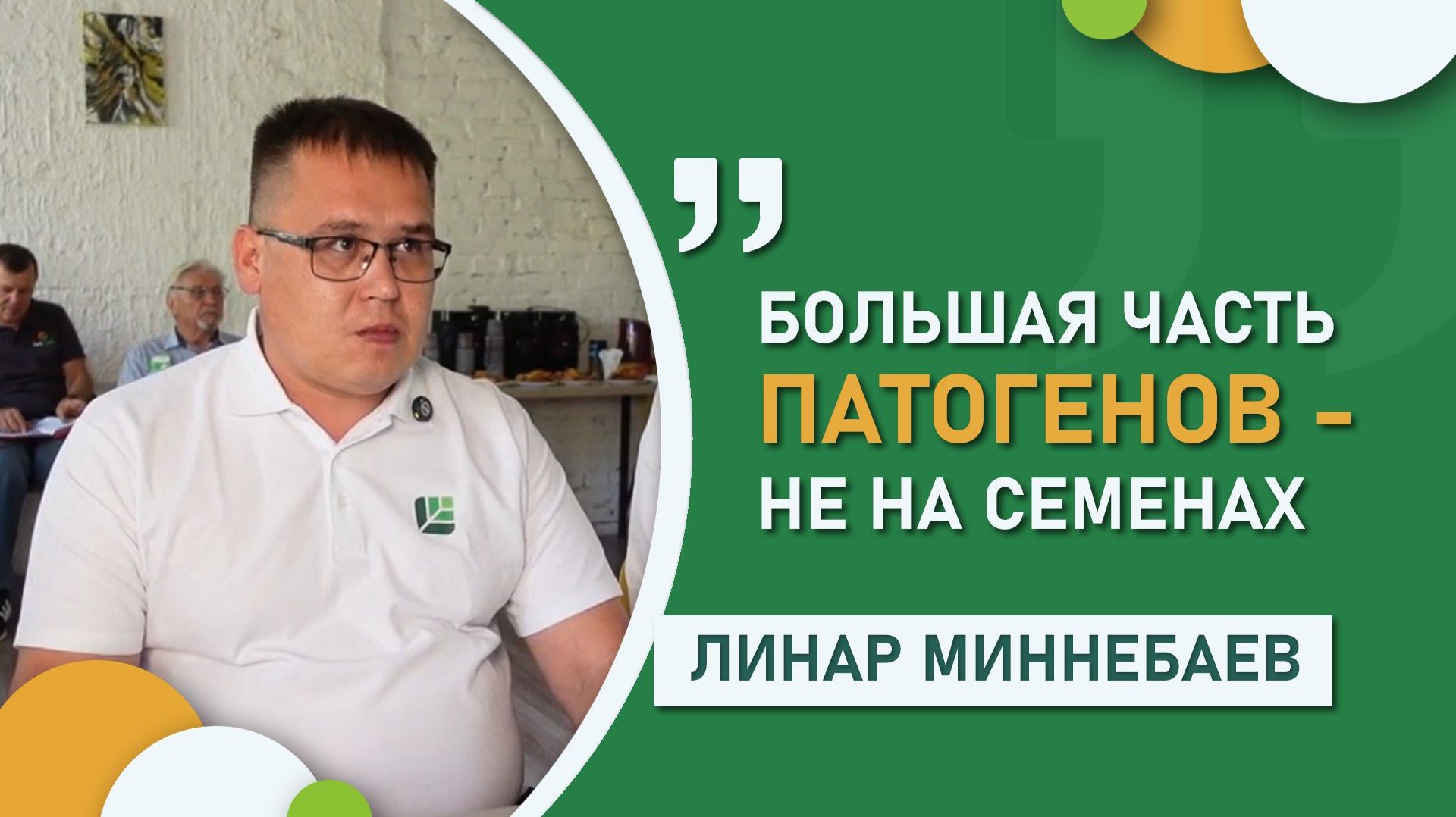 Большая часть патогенов находится не на семенах. Как защищать и кормить посевы рационально?