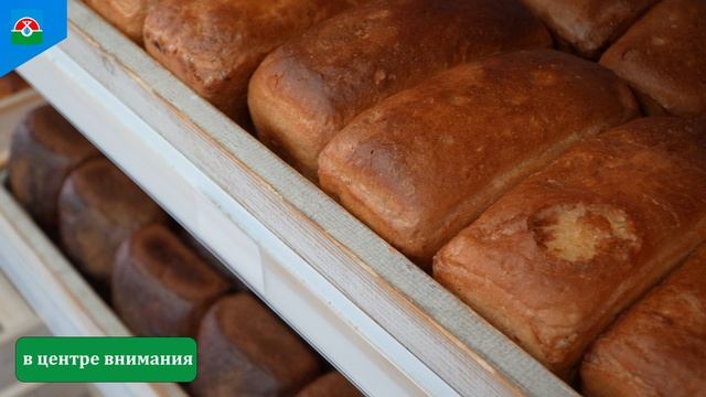 2026-08-20 Нива комментарий по ситуации с хлебом