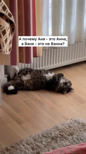 1000008408.mp4
