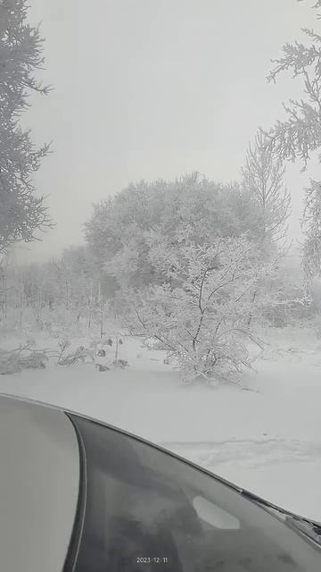 Красноярск. Мороз