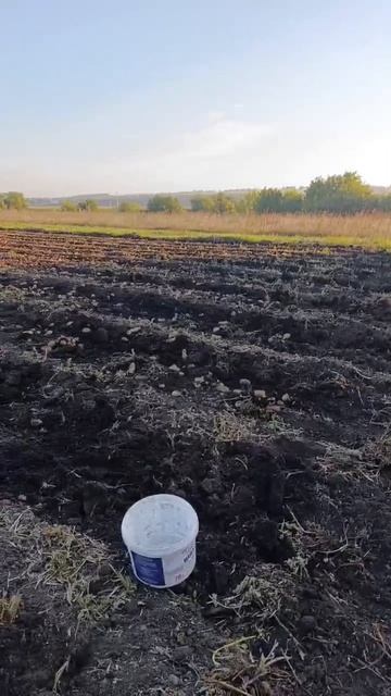 Это был незабываемый ОТРАКЦИОН